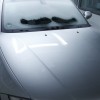 P90059969