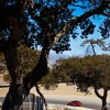 BMW-M6-Coupé-2012-F13-Laguna-Seca-01