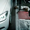 BMW-Schweiz-The-fastest-Christmas-Song-in-the-World-Marti-Tomczyk-10