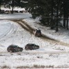 BMW-xDrive-X1-Romania-06