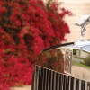 Rolls-Royce-Spirit-of-Ecstasy-04