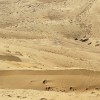 DAKAR 2012 :ARGENTINA-CHILE-PERU