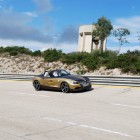 ac-schnitzer-nardo-2009-15