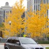 bmw-x5-m-review-08 [1600x1200]